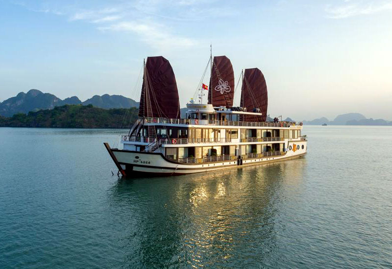 Azalea Cruises