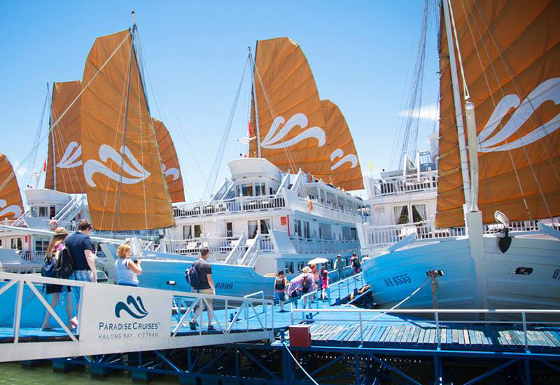 Paradise Luxury Cruises