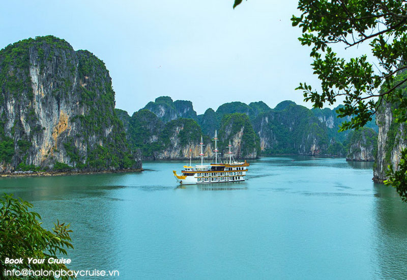 Dragon Legend Cruises