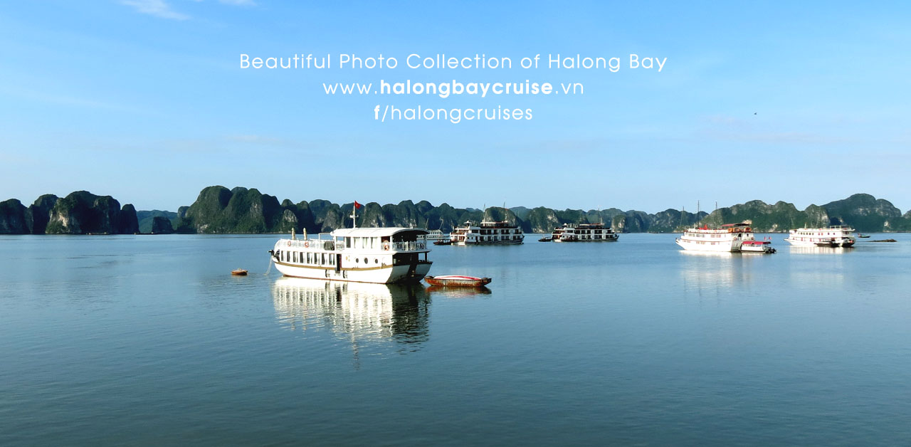 Halong Bay Cruises