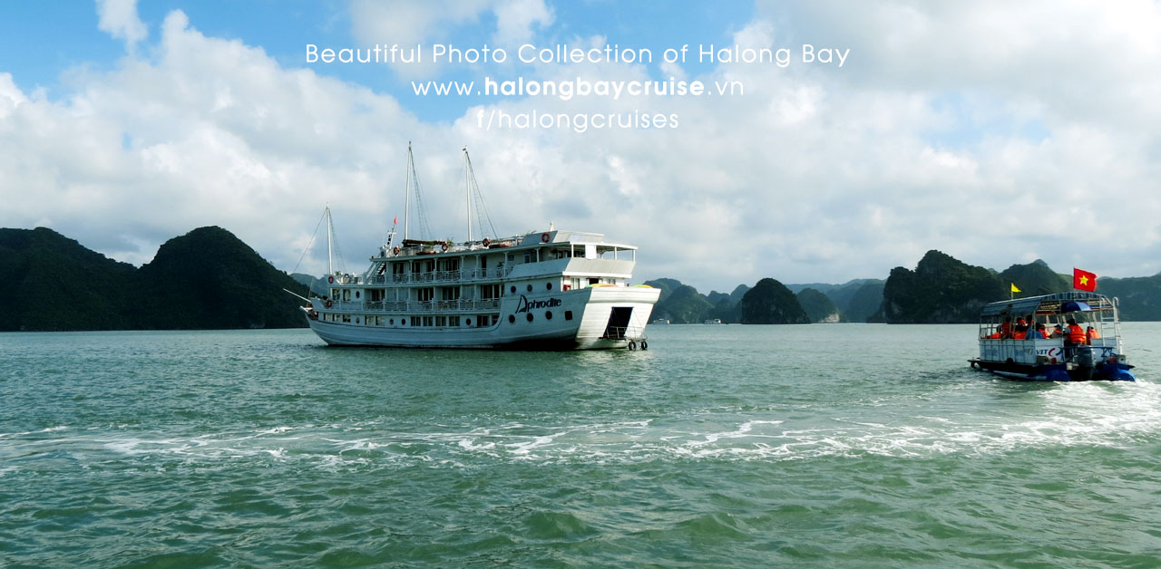 Halong Bay Cruises