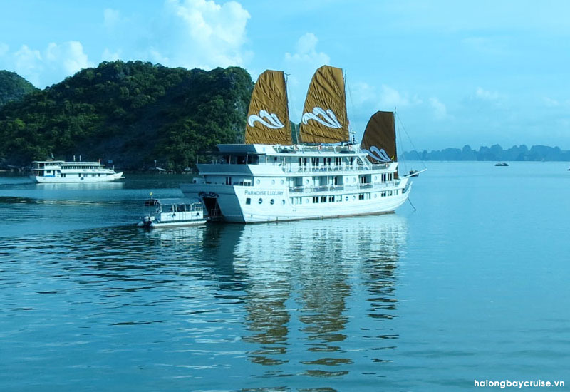 Paradise Luxury Cruises