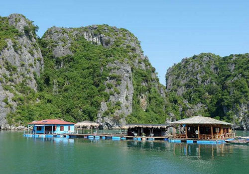 Vung Vieng