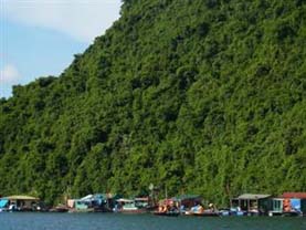 Ginger Cruise 3days/2nights