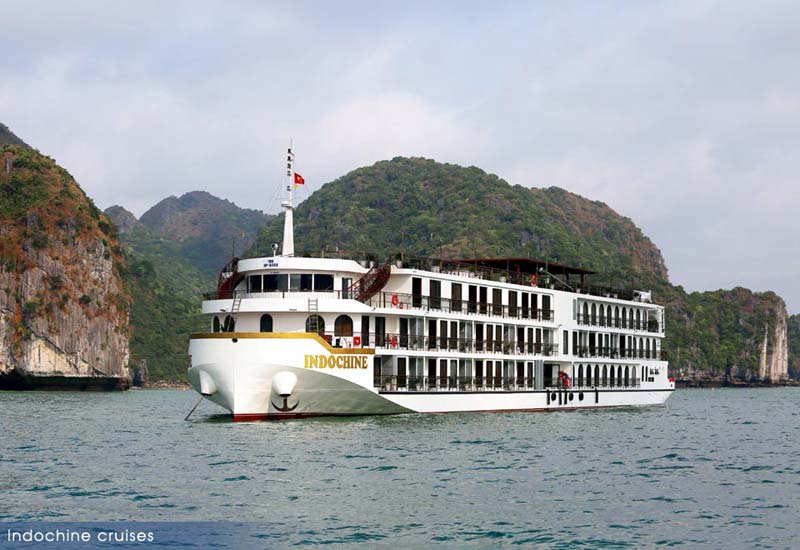 Indochine Cruise in Lan Ha Bay