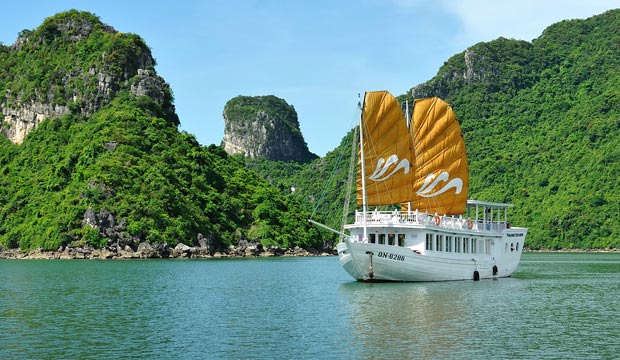 Paradise Explorer Full Day Cruise 