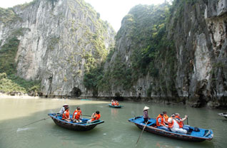 Alova Gold Cruise
