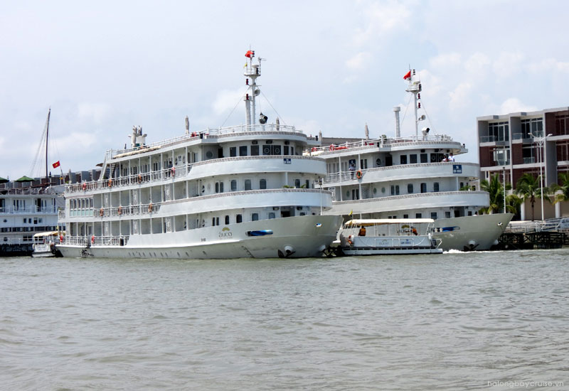 Au Co Cruises