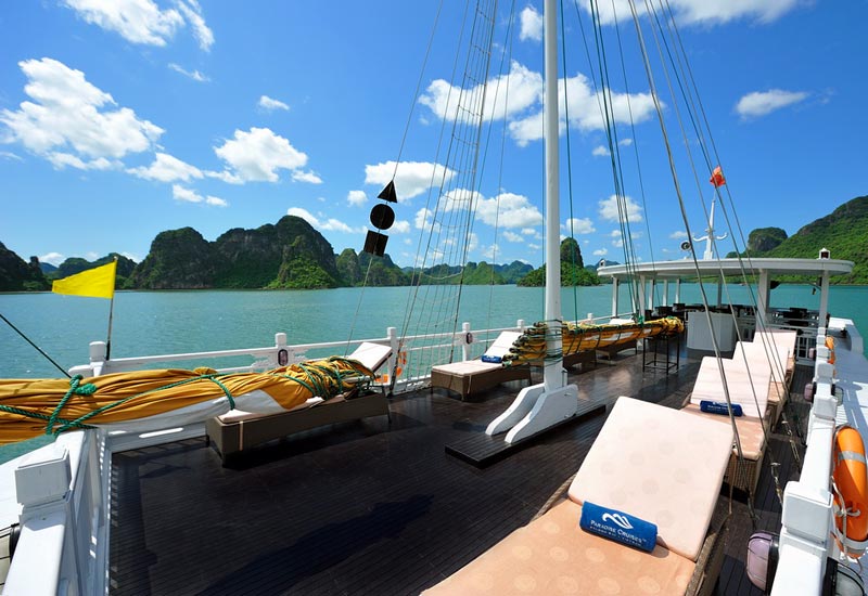 Paradise Explorer Cruise